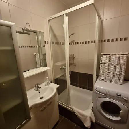 Dokoza Free Parking Zara